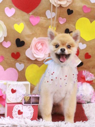 20230228たぬきちくん